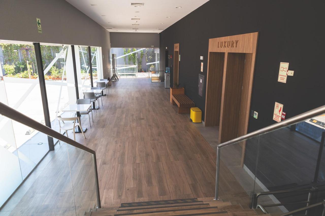 Palmetto Hotel Business San Borja Lima Dış mekan fotoğraf
