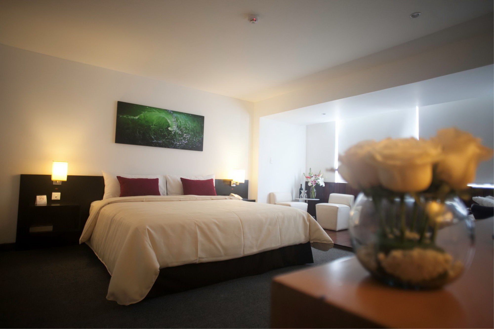 Palmetto Hotel Business San Borja Lima Dış mekan fotoğraf